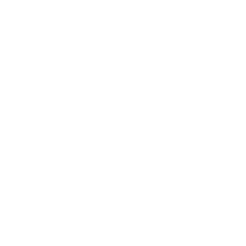 VYNE